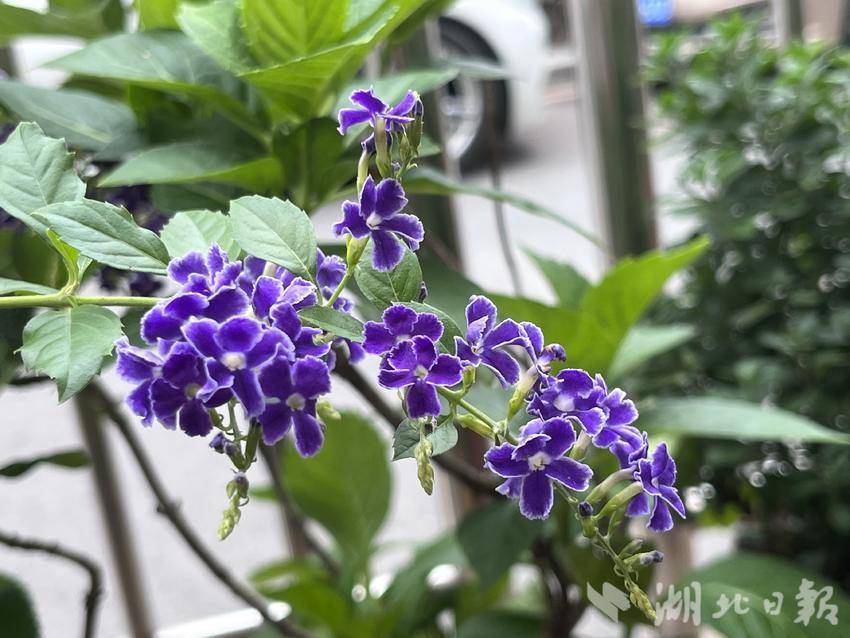 奔驰宝马线上娱乐